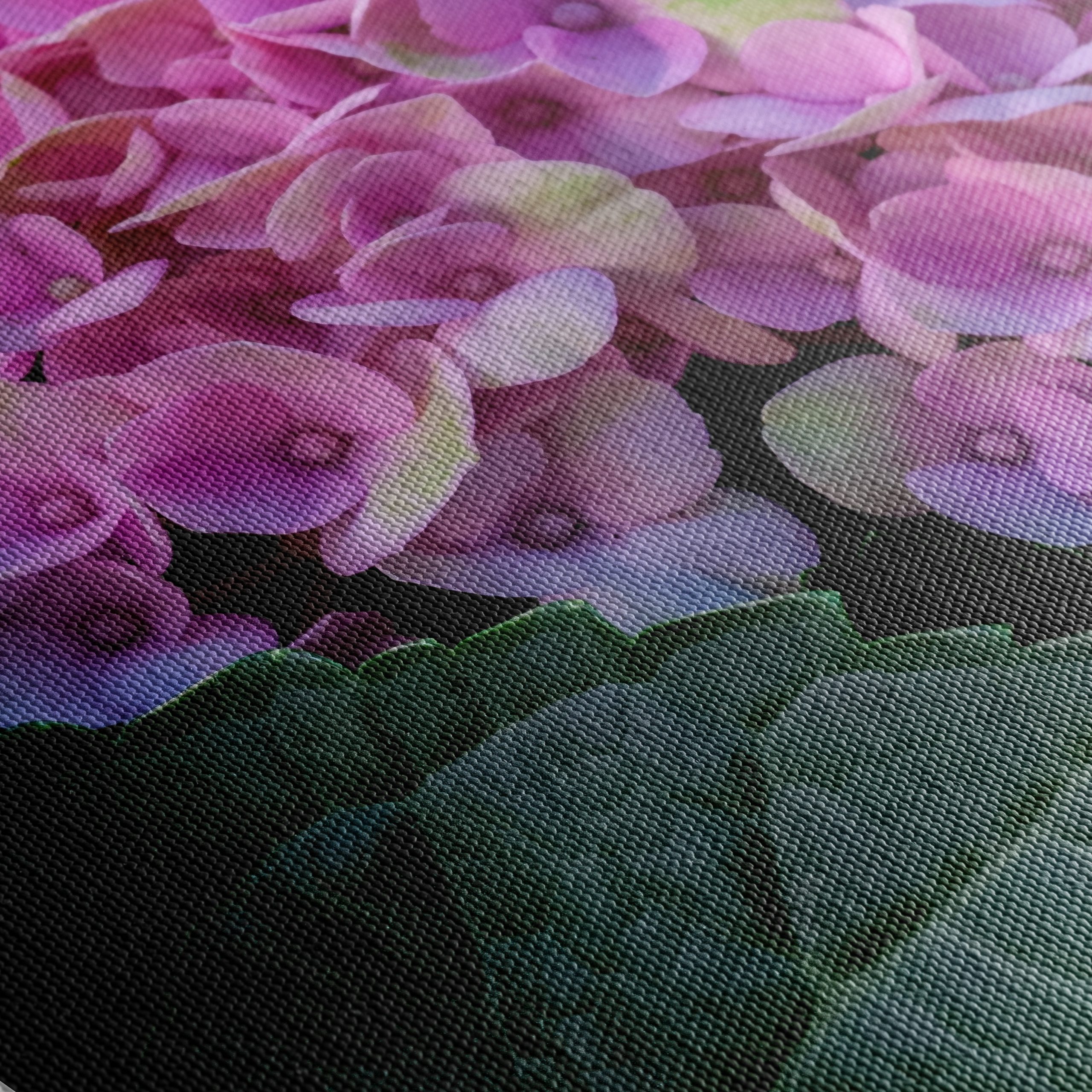 Hydrangea Flowers Close-Up Photography - Image 5