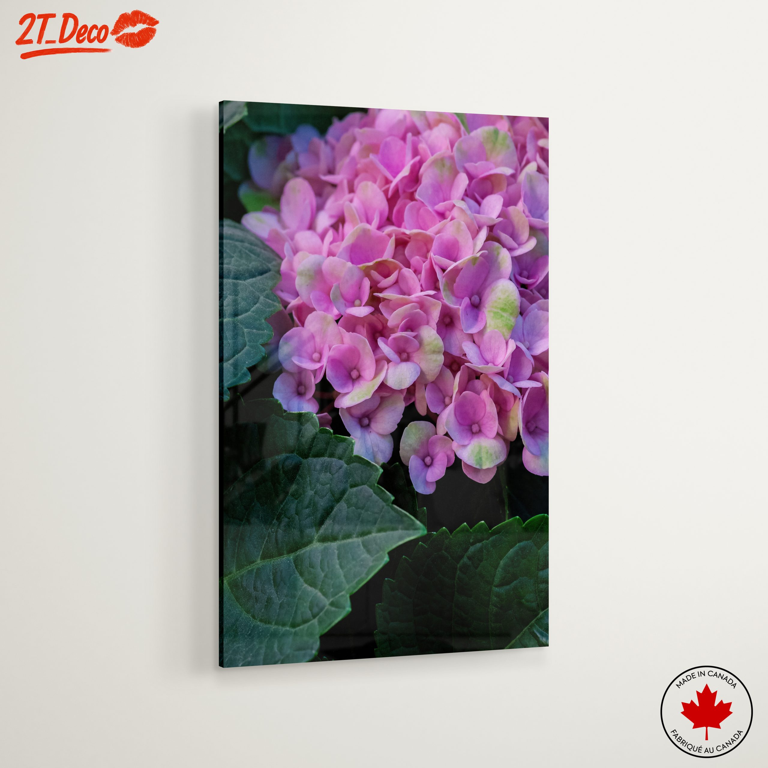 Hydrangea Flowers Close-Up Photography - Image 6