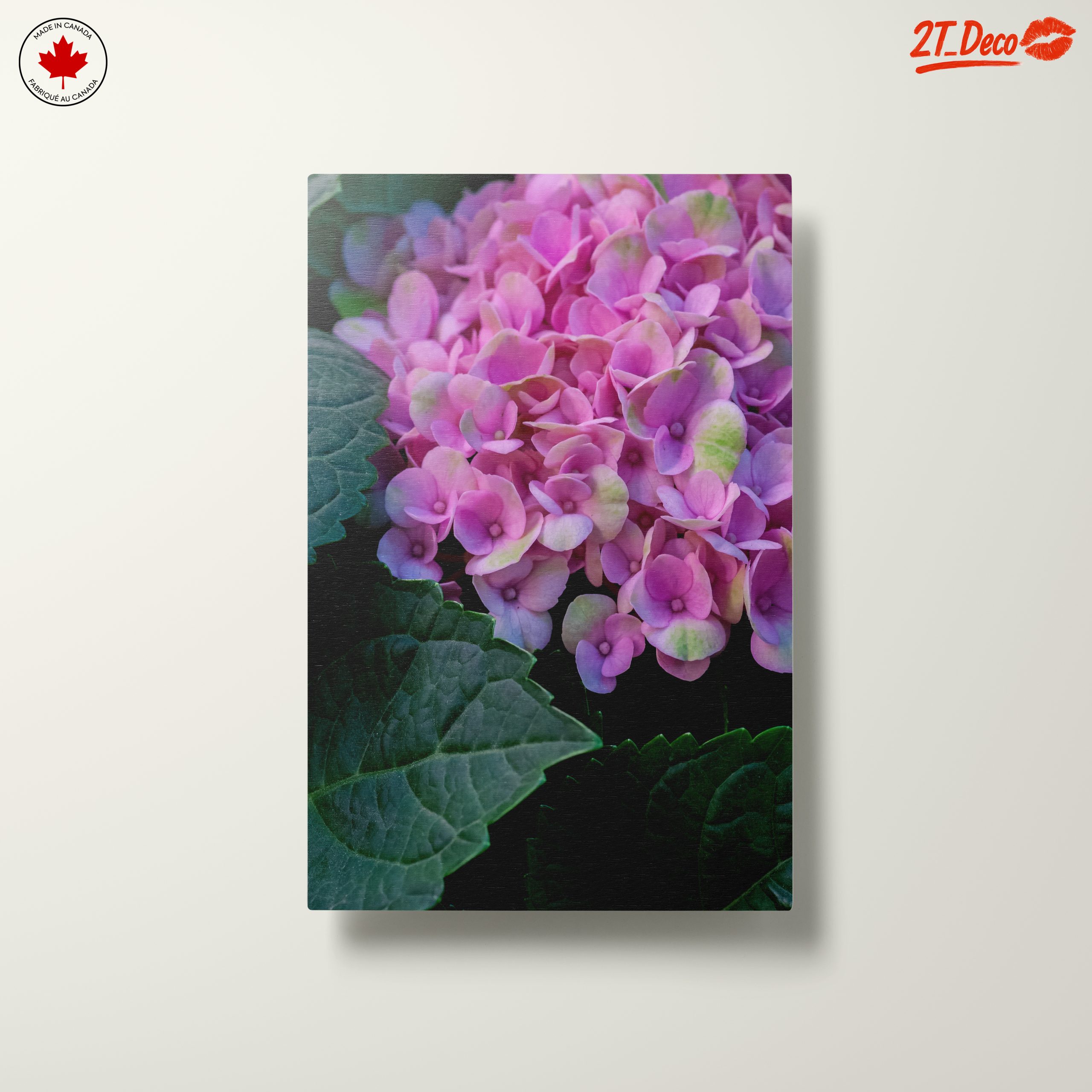 Hydrangea Flowers Close-Up Photography - Image 10