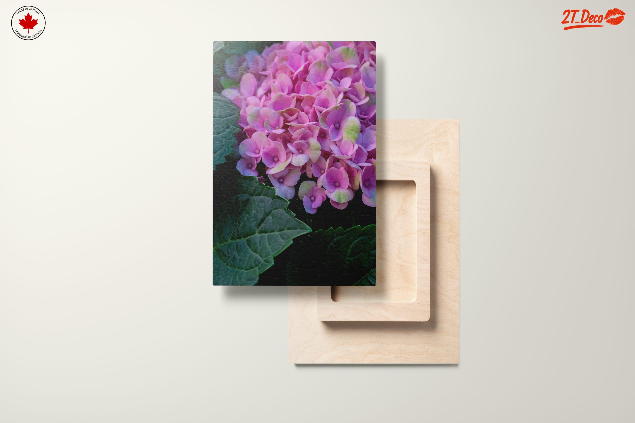 Hydrangea Flowers Close-Up Photography - Image 11
