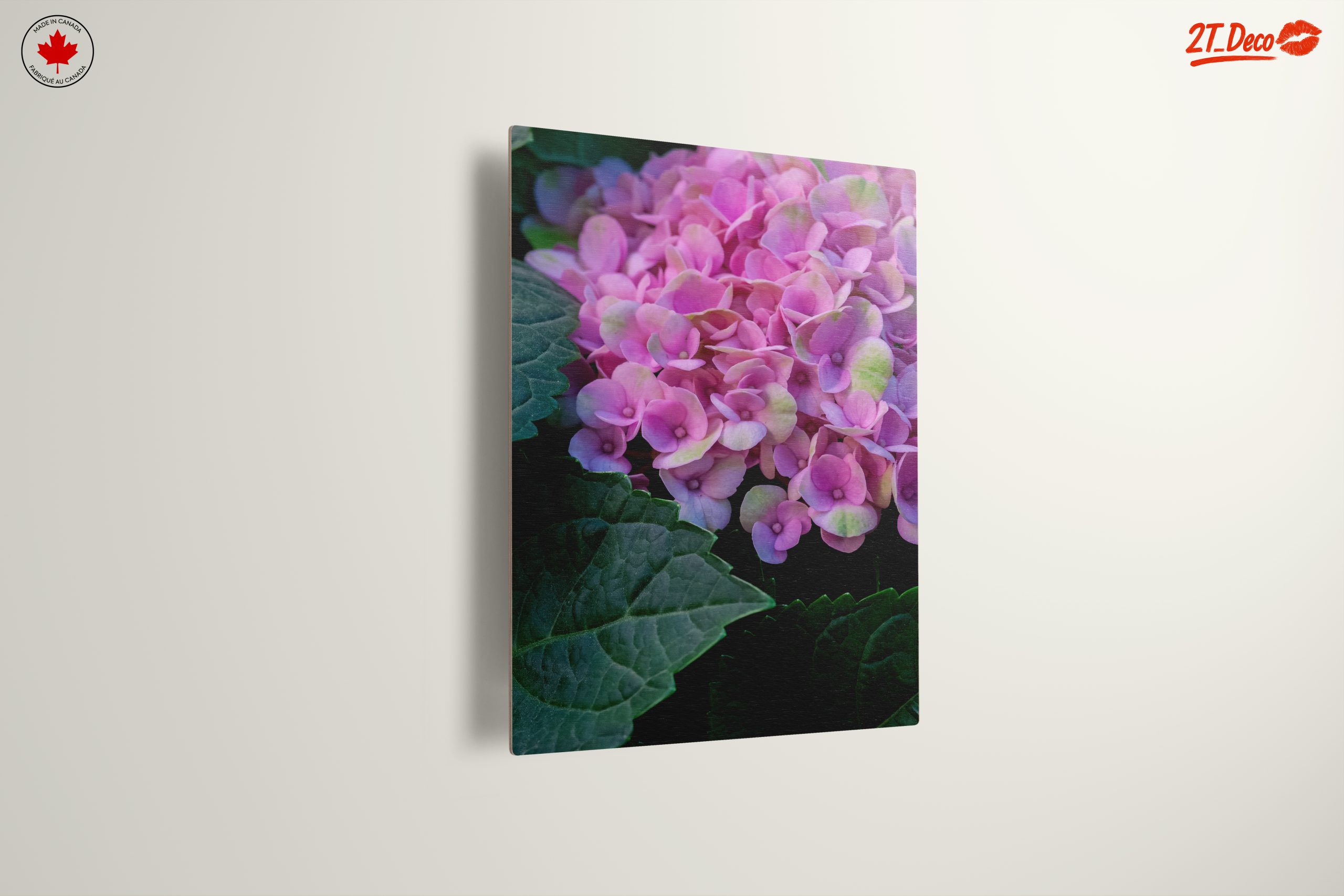 Hydrangea Flowers Close-Up Photography - Image 13
