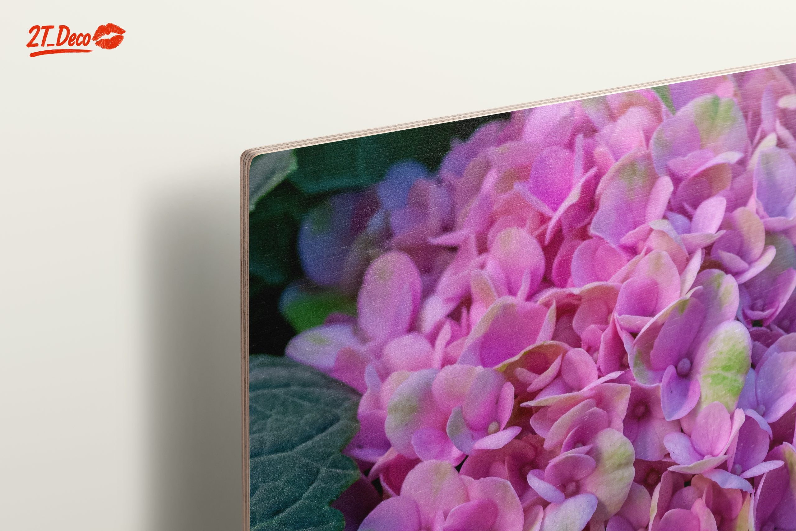 Hydrangea Flowers Close-Up Photography - Image 15