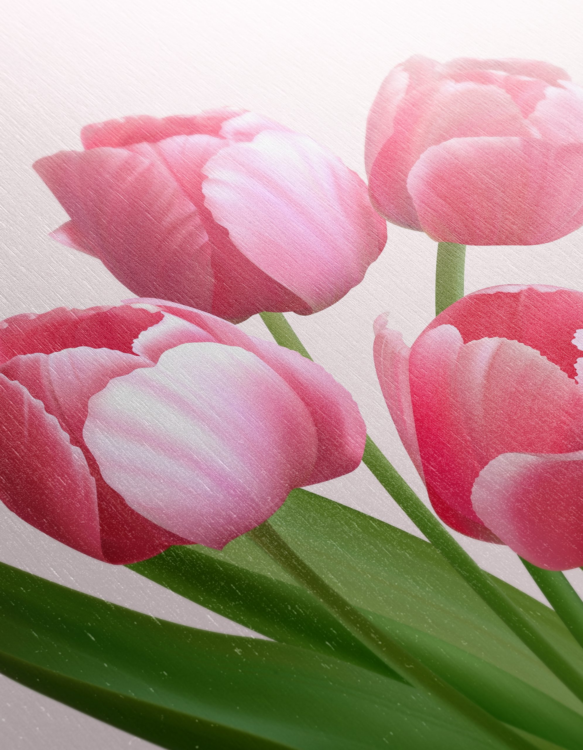 Pink Tulip Bouquet on Soft Background - Image 12