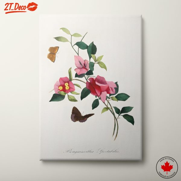 Bougainvillea Flower Art with Butterflies