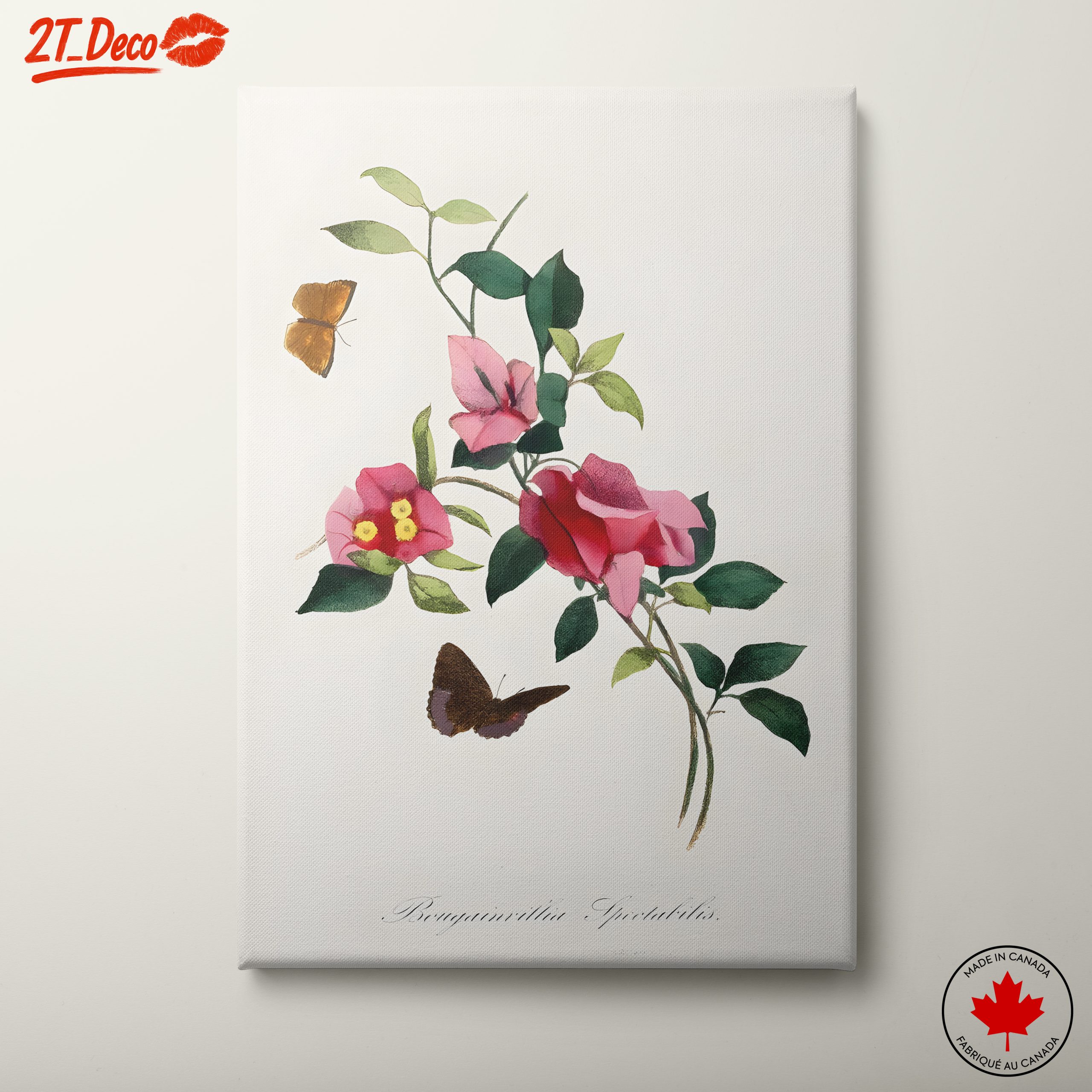 Bougainvillea Flower Art with Butterflies