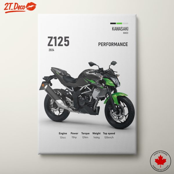 Kawasaki Z125 Motorcycle Artwork