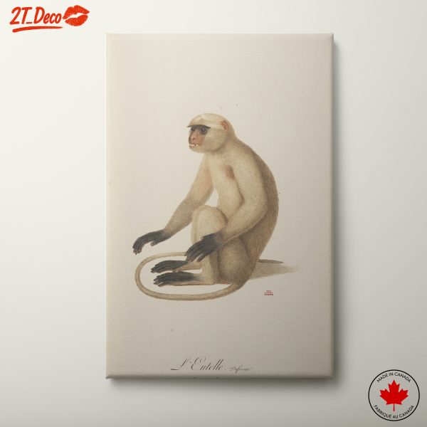 Realistic Depiction of a Primate