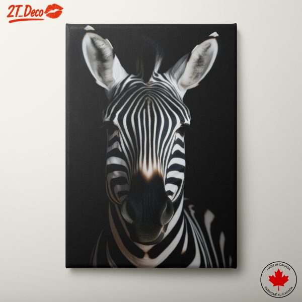 Striking Zebra Portrait Against Black Background