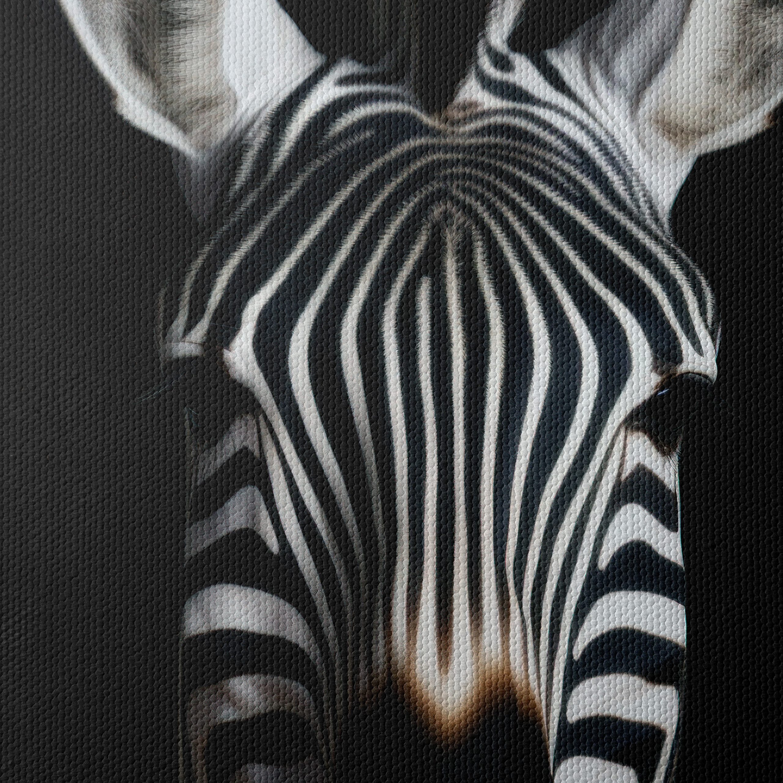Striking Zebra Portrait Against Black Background - Image 4