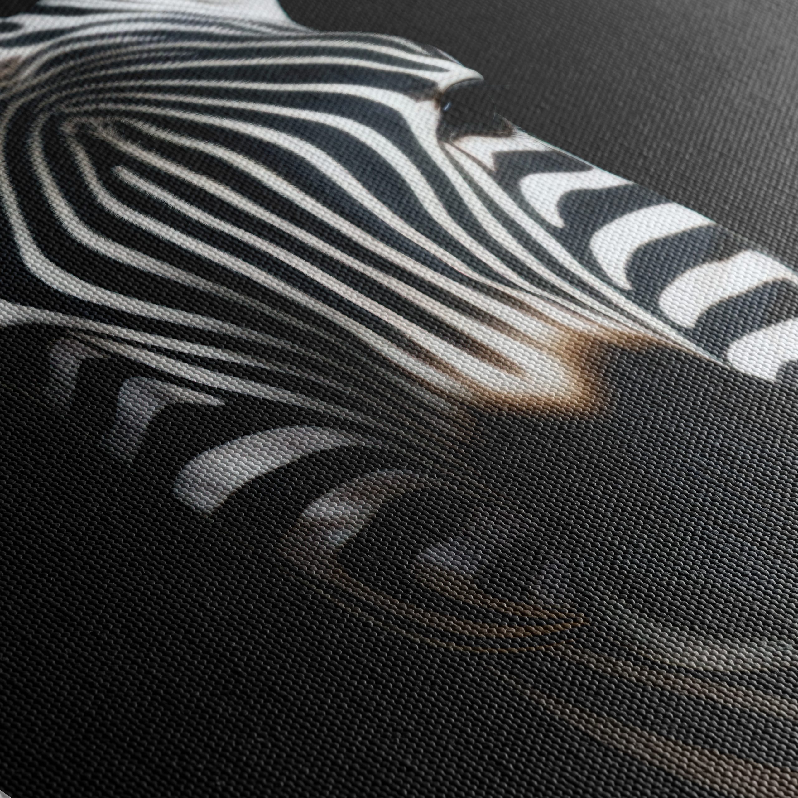 Striking Zebra Portrait Against Black Background - Image 5