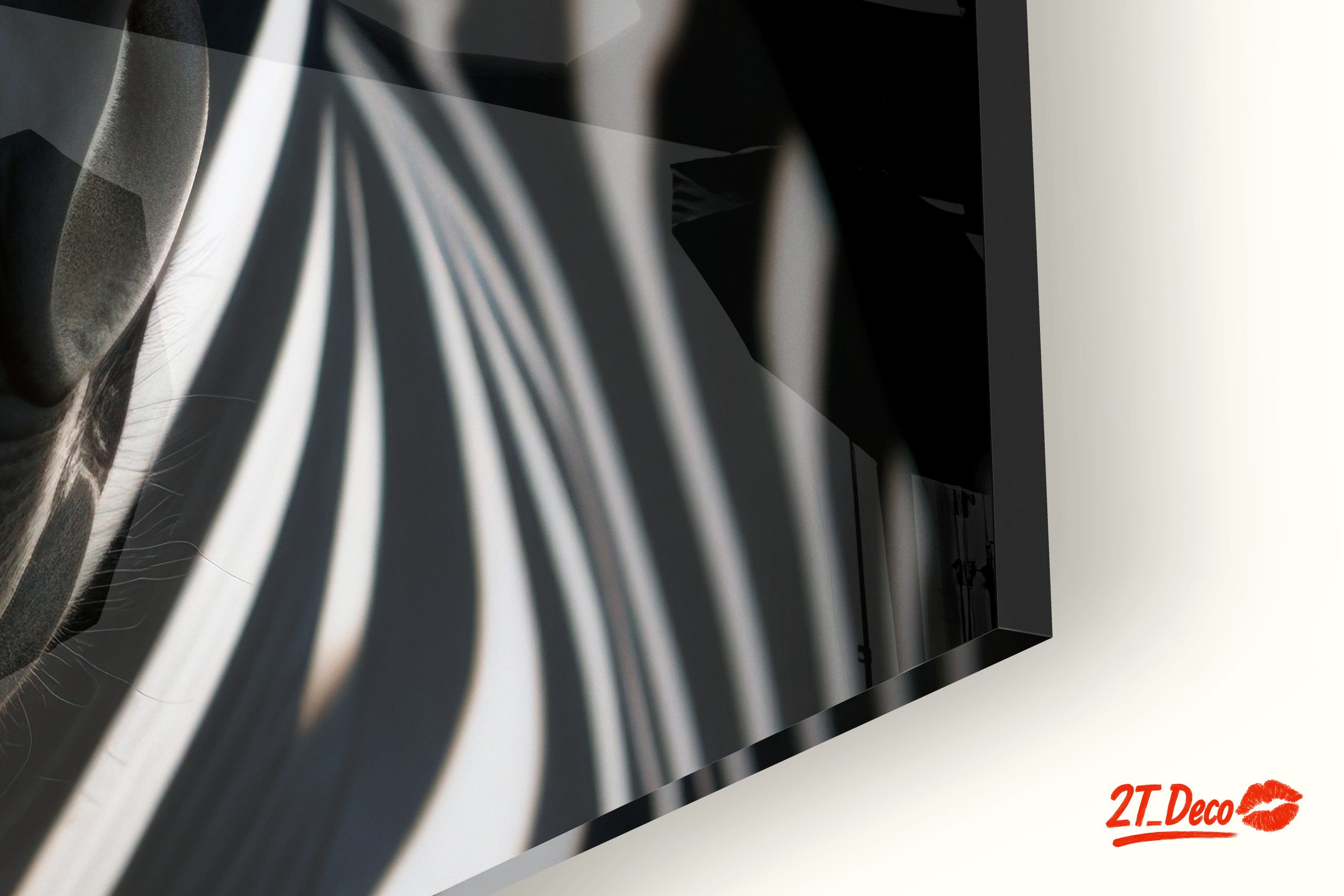Striking Zebra Portrait Against Black Background - Image 9