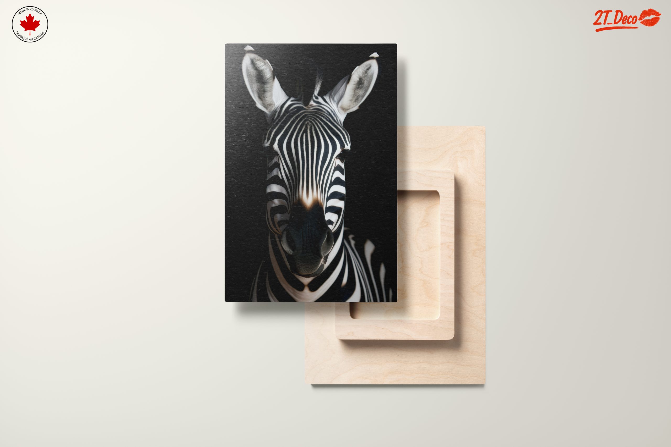 Striking Zebra Portrait Against Black Background - Image 11