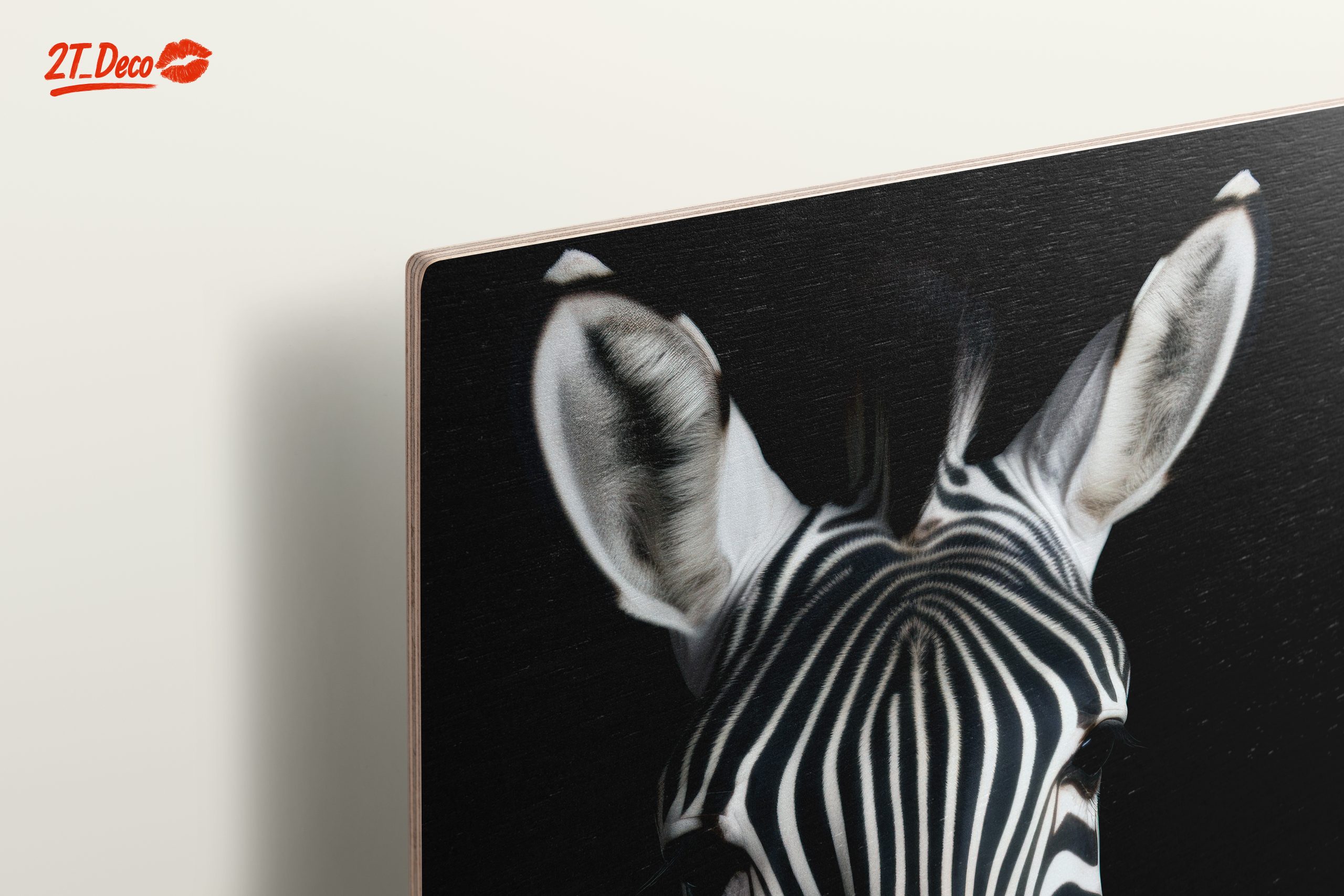 Striking Zebra Portrait Against Black Background - Image 15