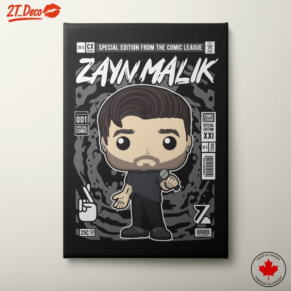 Zayn Malik Funko Character Illustration