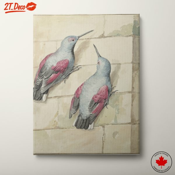 Two Colorful Birds on a Wall