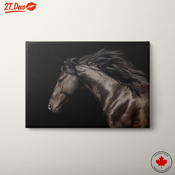 Majestic Horse Portrait on Black Background 2