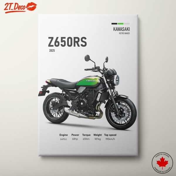 Kawasaki Z650RS Motorcycle Design