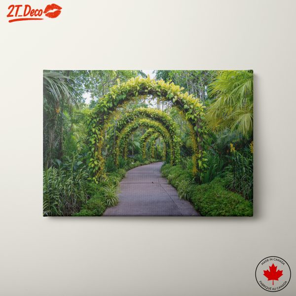 Lush Green Pathway Surrounded by Foliage