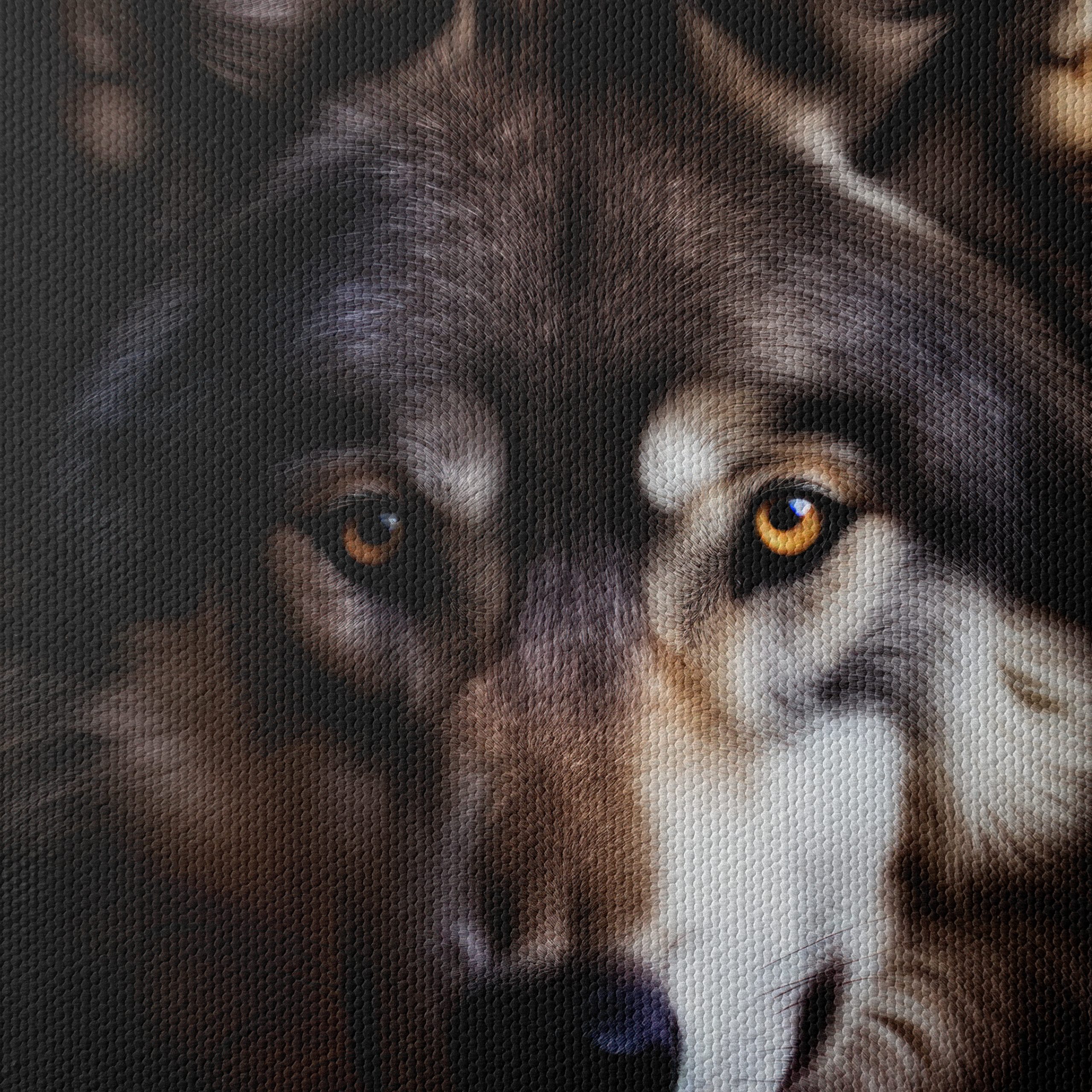 Stunning Wolf Wall Art - Image 4