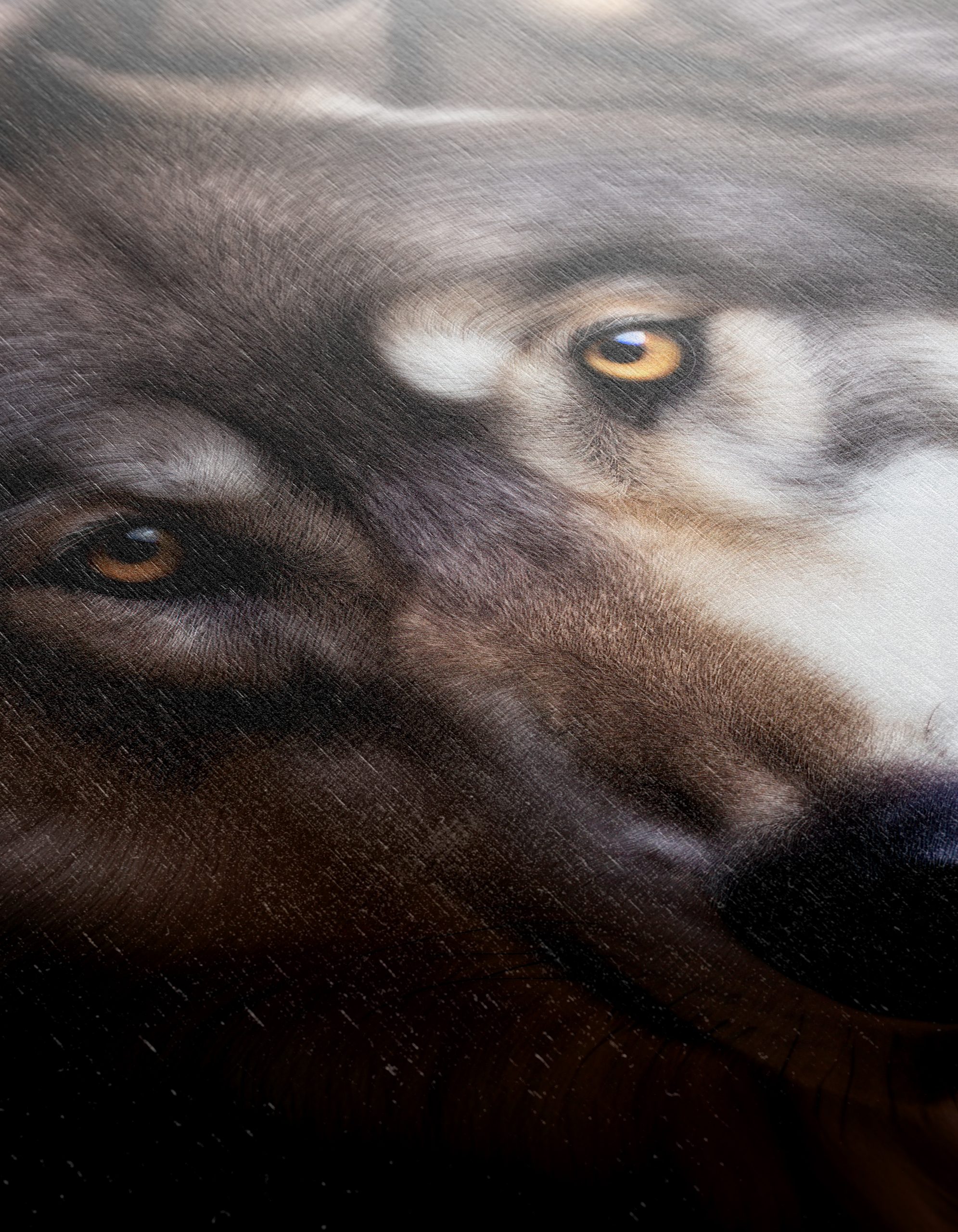 Stunning Wolf Wall Art - Image 12