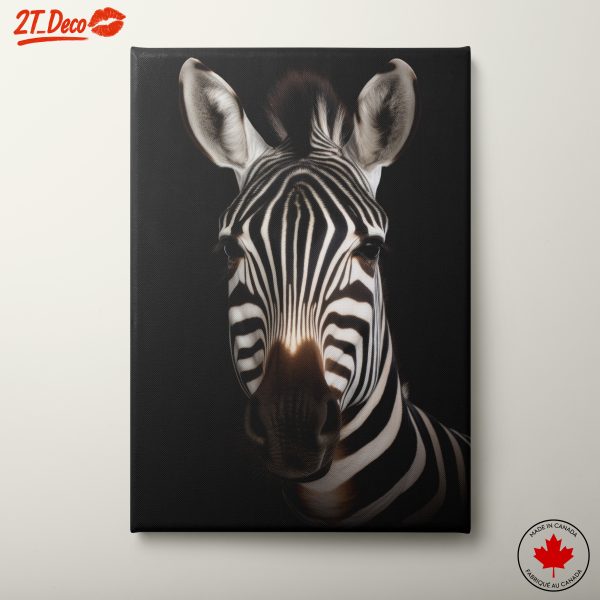 Striking Zebra Portrait in Black and White
