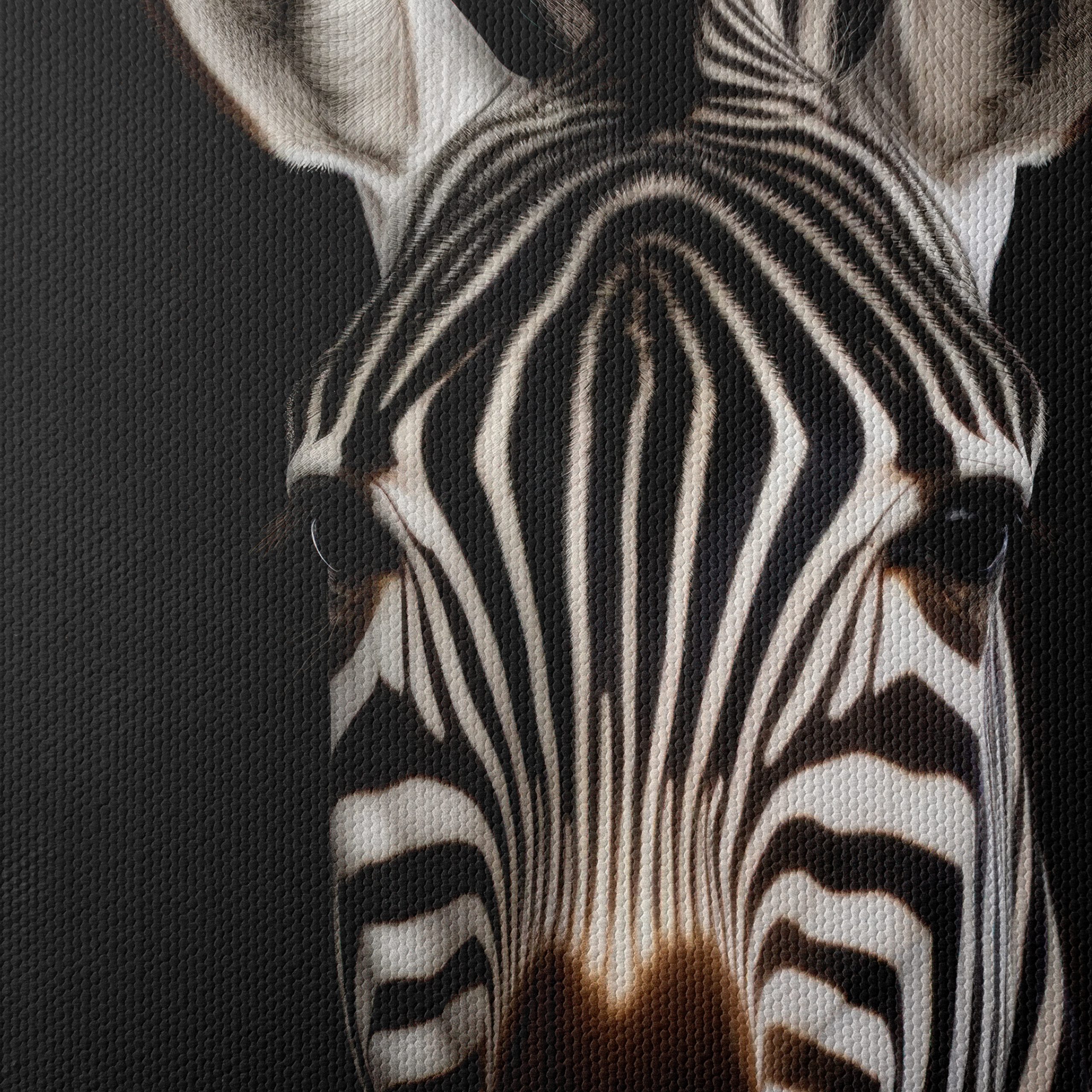 Striking Zebra Portrait in Black and White - Image 4