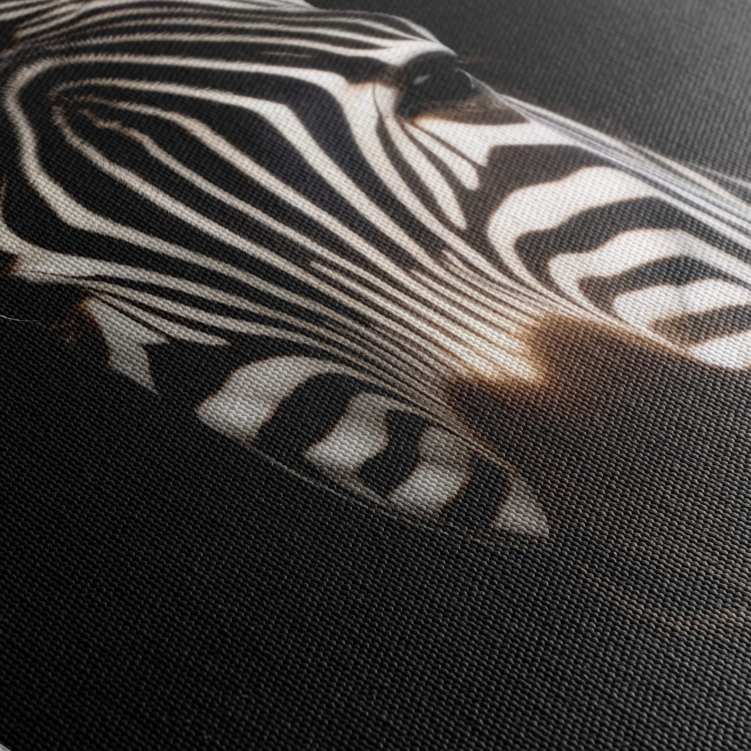Striking Zebra Portrait in Black and White - Image 5