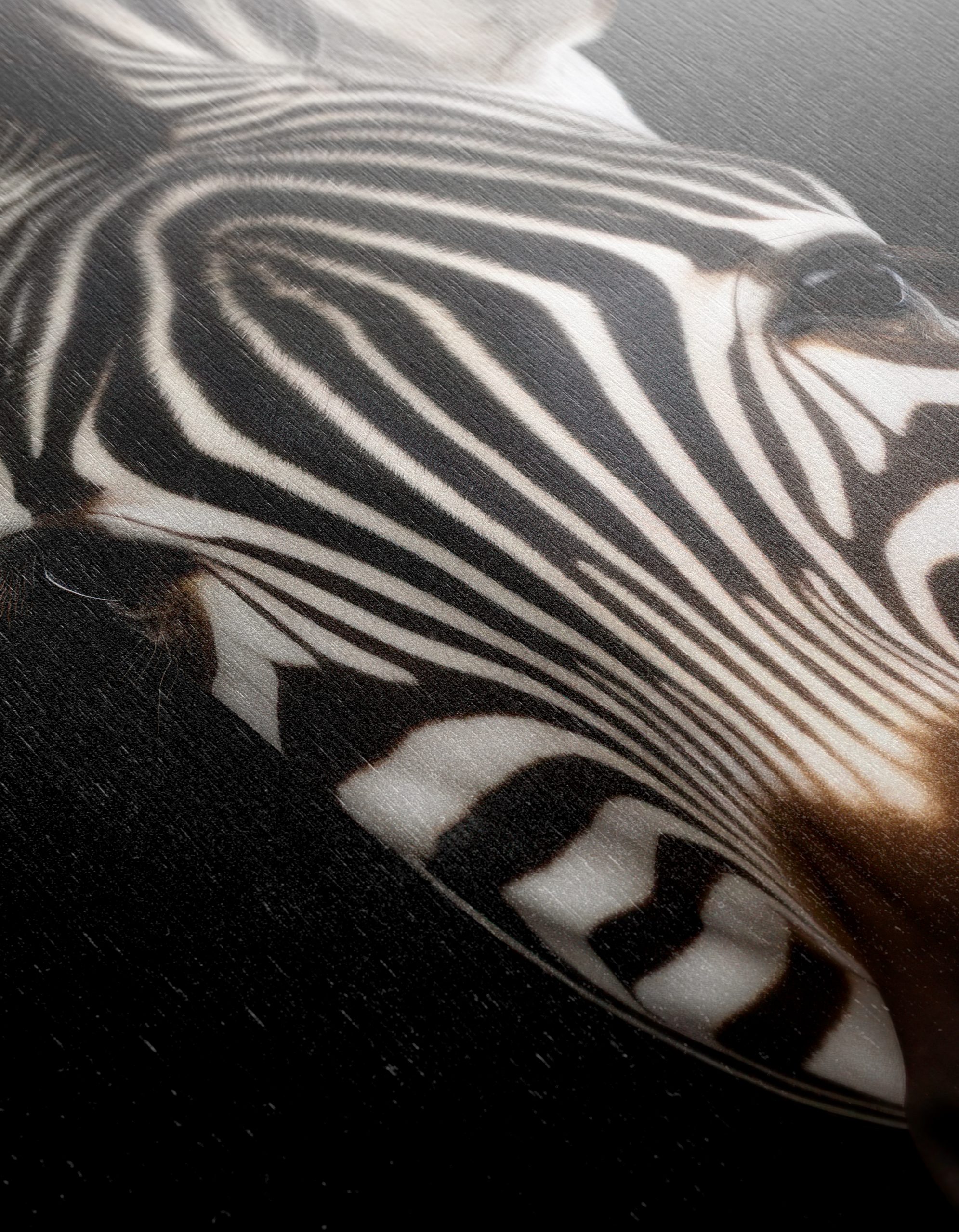 Striking Zebra Portrait in Black and White - Image 12