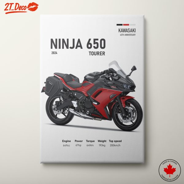 2024 Kawasaki Ninja 650 Tourer Motorcycle