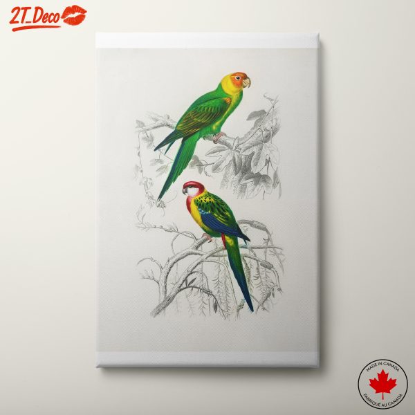 Vibrant Parrots on Branches
