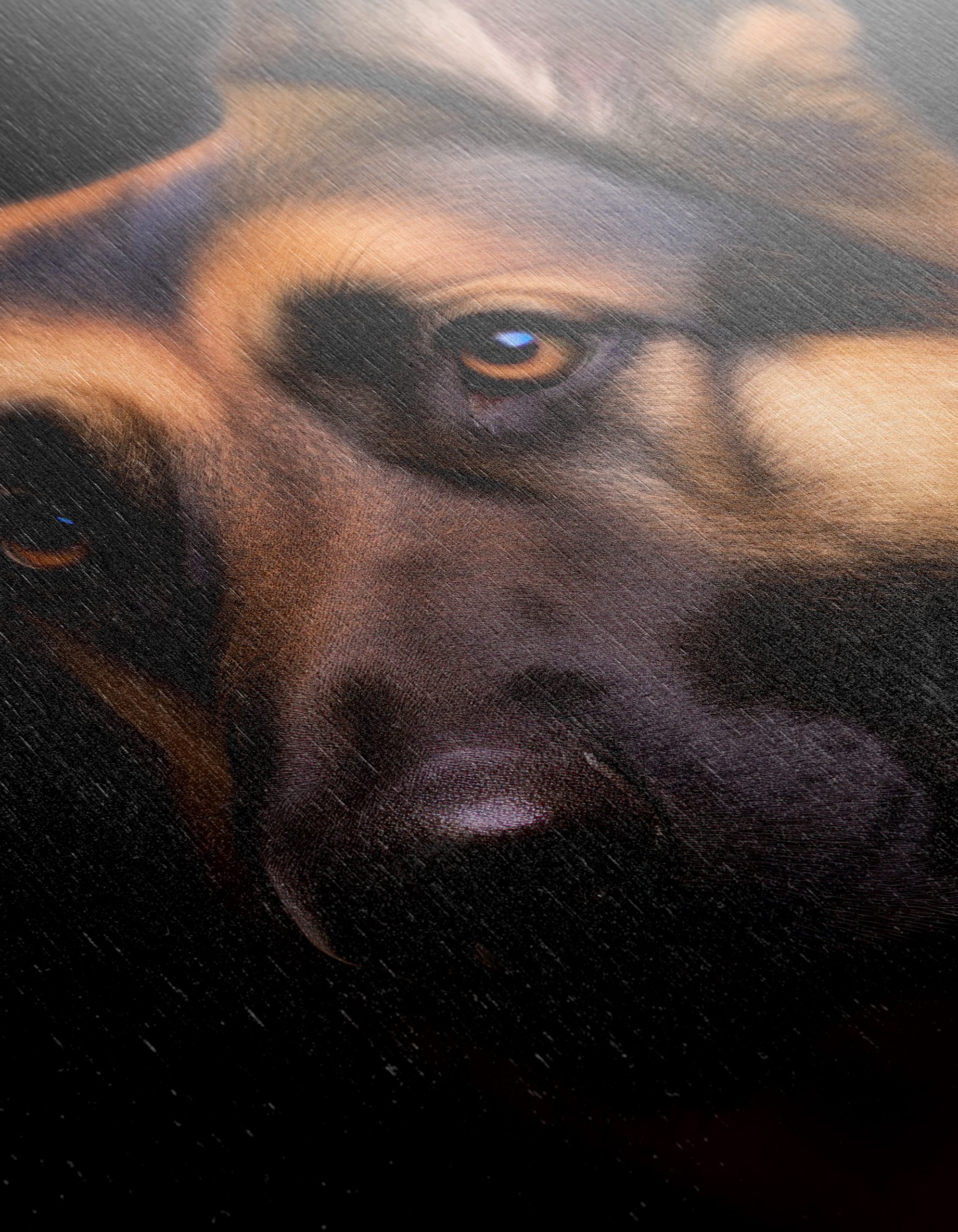 German Shepherd Portrait Wall Art - Image 12