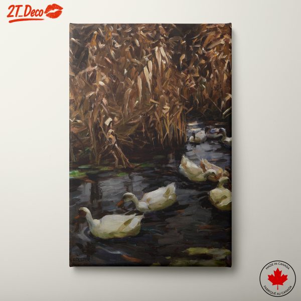 Ducks Swimming in a Tranquil Pool