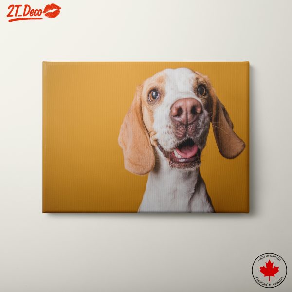 Cute Dog Portrait on Yellow Background