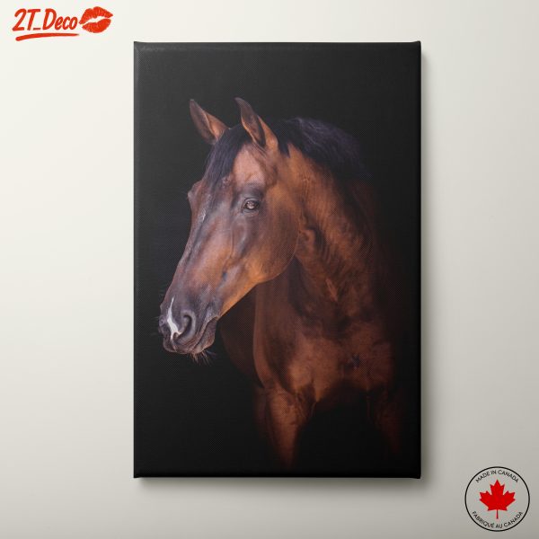Majestic Horse Wall Art