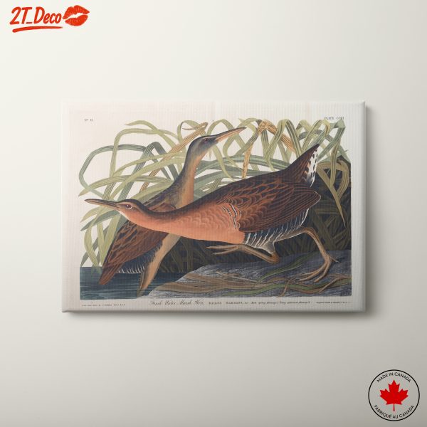 Birds Among Marsh Reeds Artwork