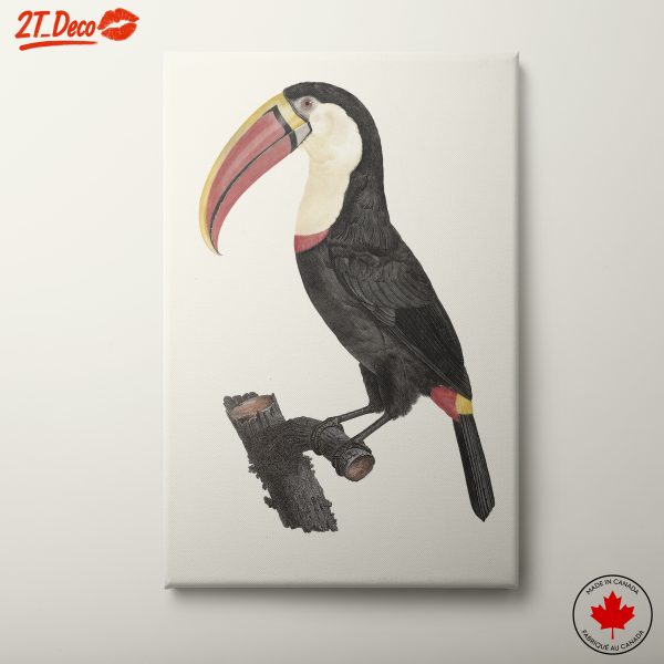Elegant Toucan in Naturalistic Style