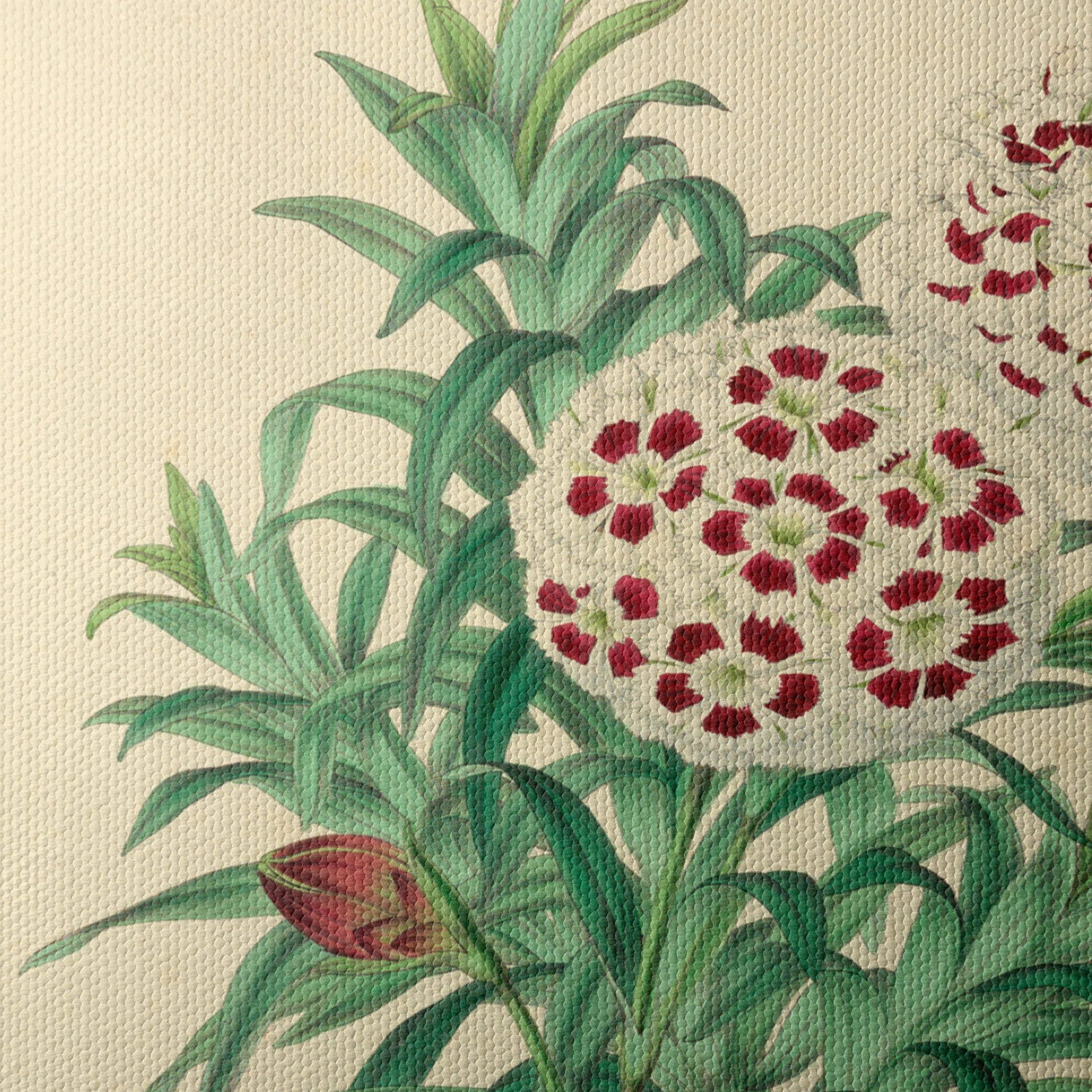 Illustrated Bouquet of Dianthus Flowers - Image 4