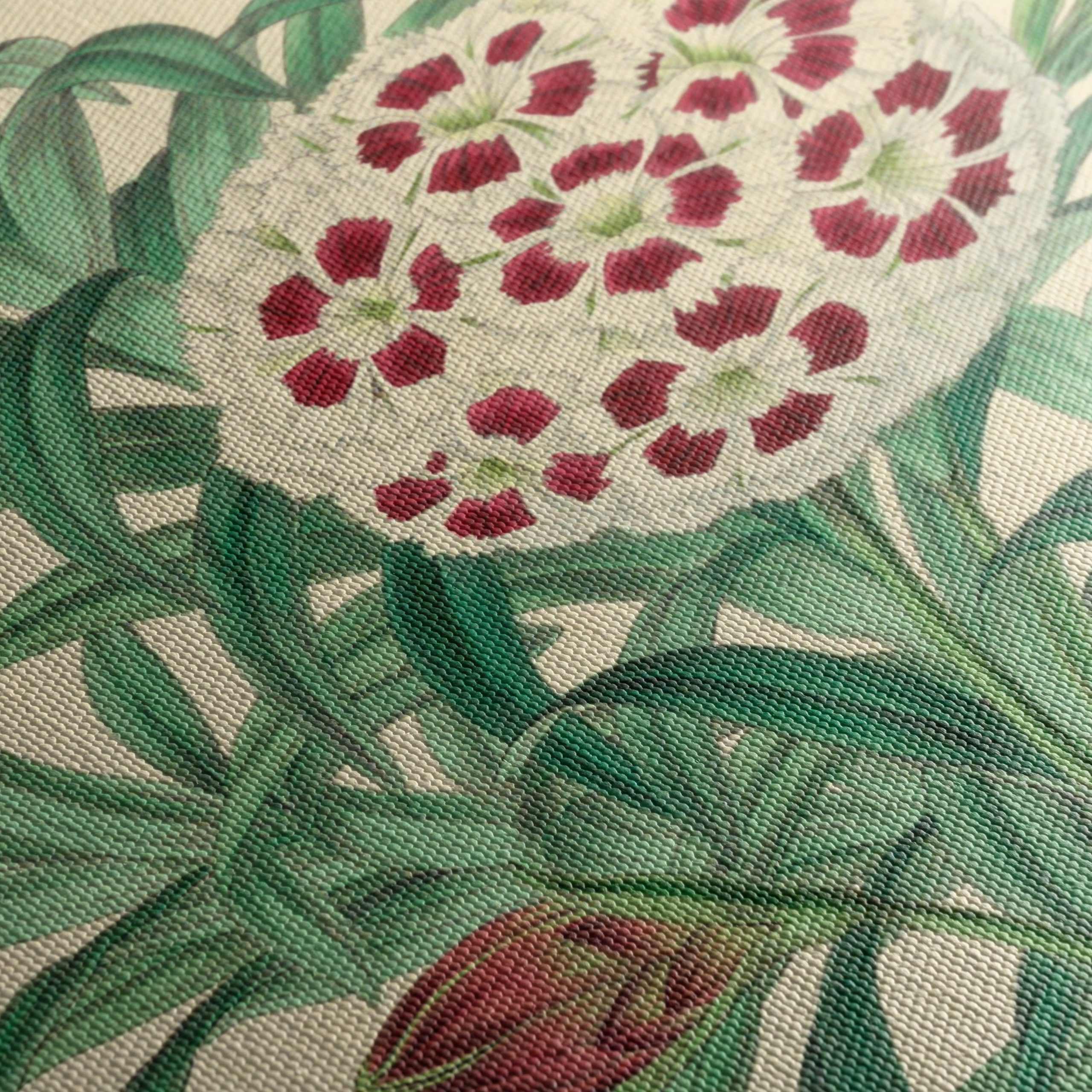 Illustrated Bouquet of Dianthus Flowers - Image 5