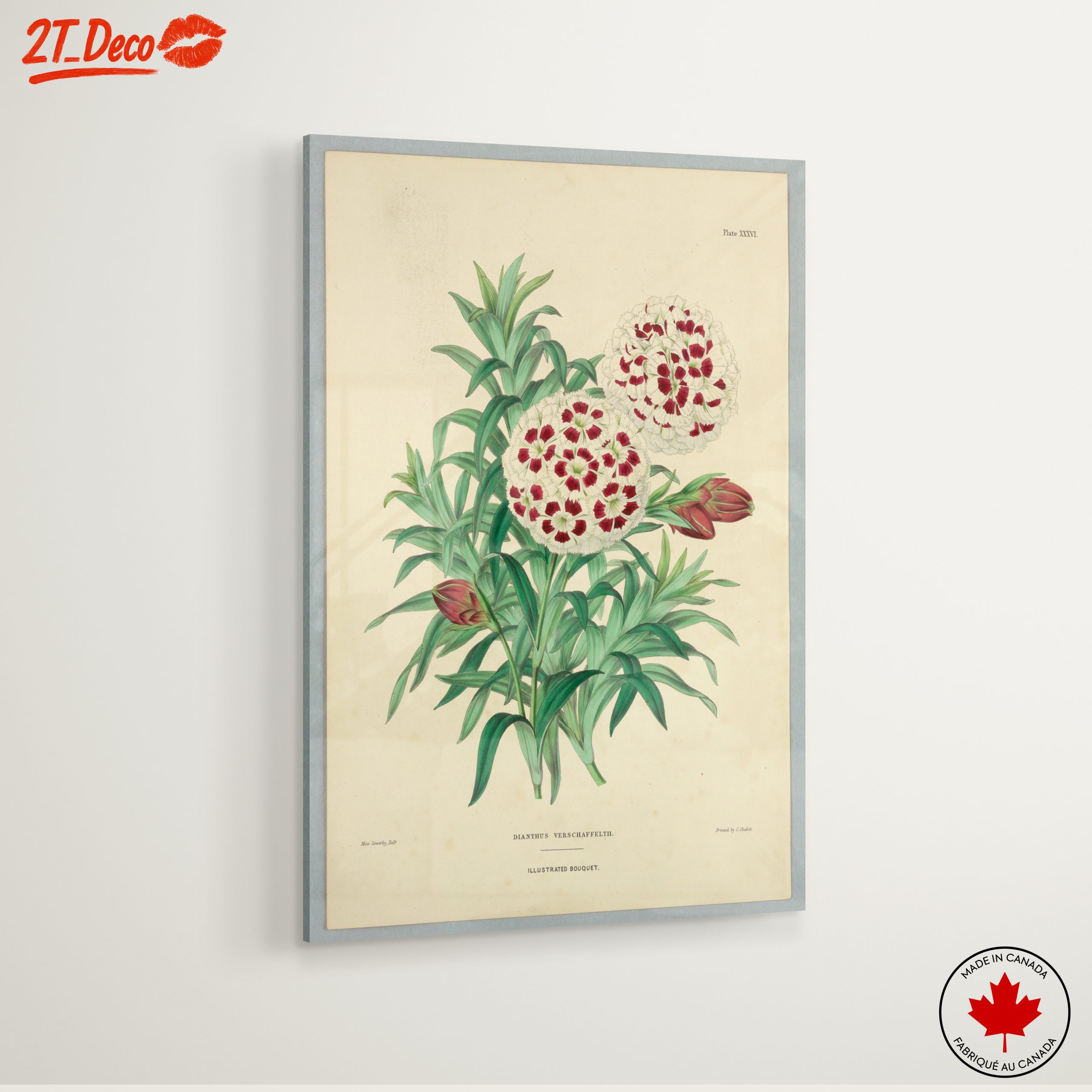 Illustrated Bouquet of Dianthus Flowers - Image 6