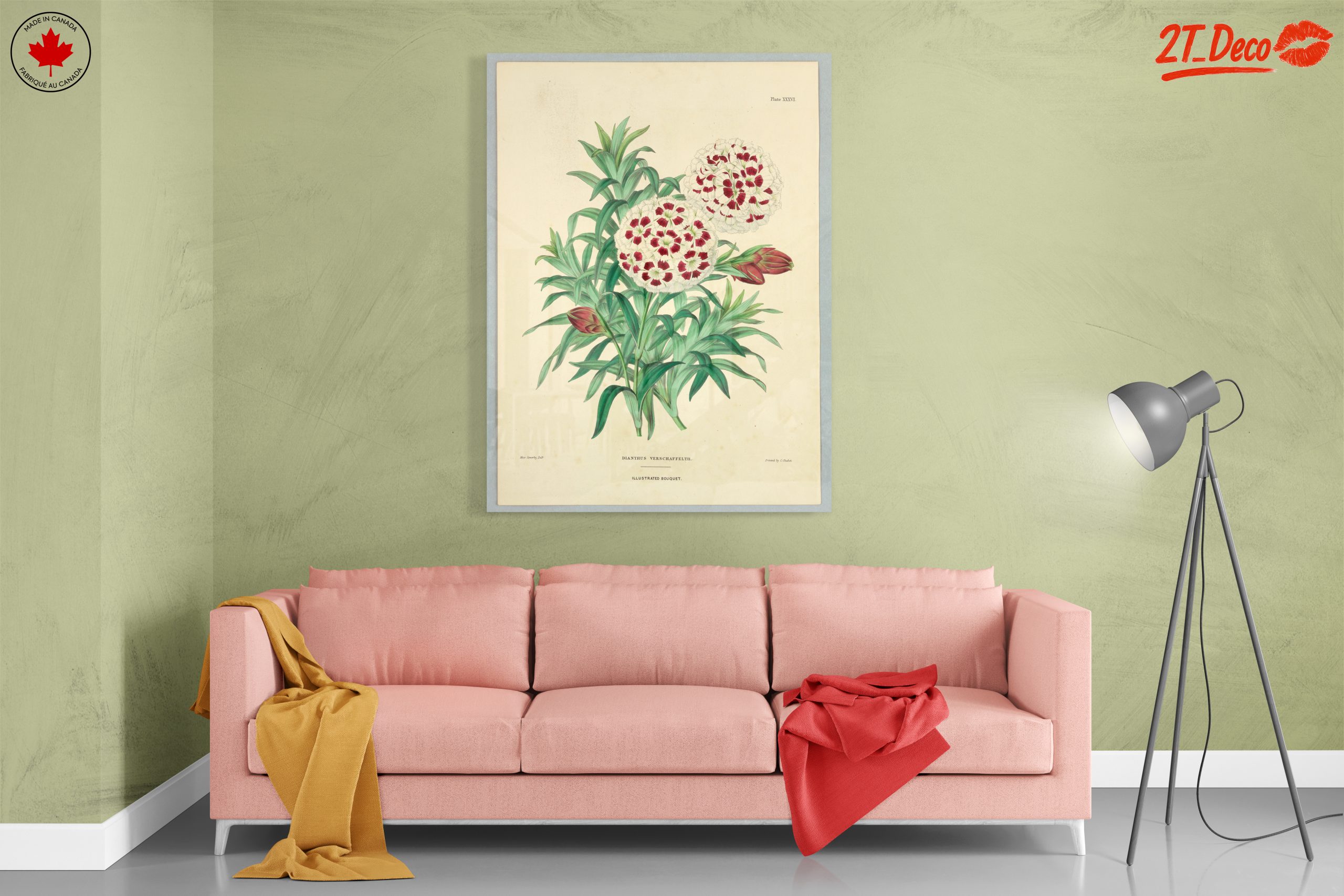 Illustrated Bouquet of Dianthus Flowers - Image 7