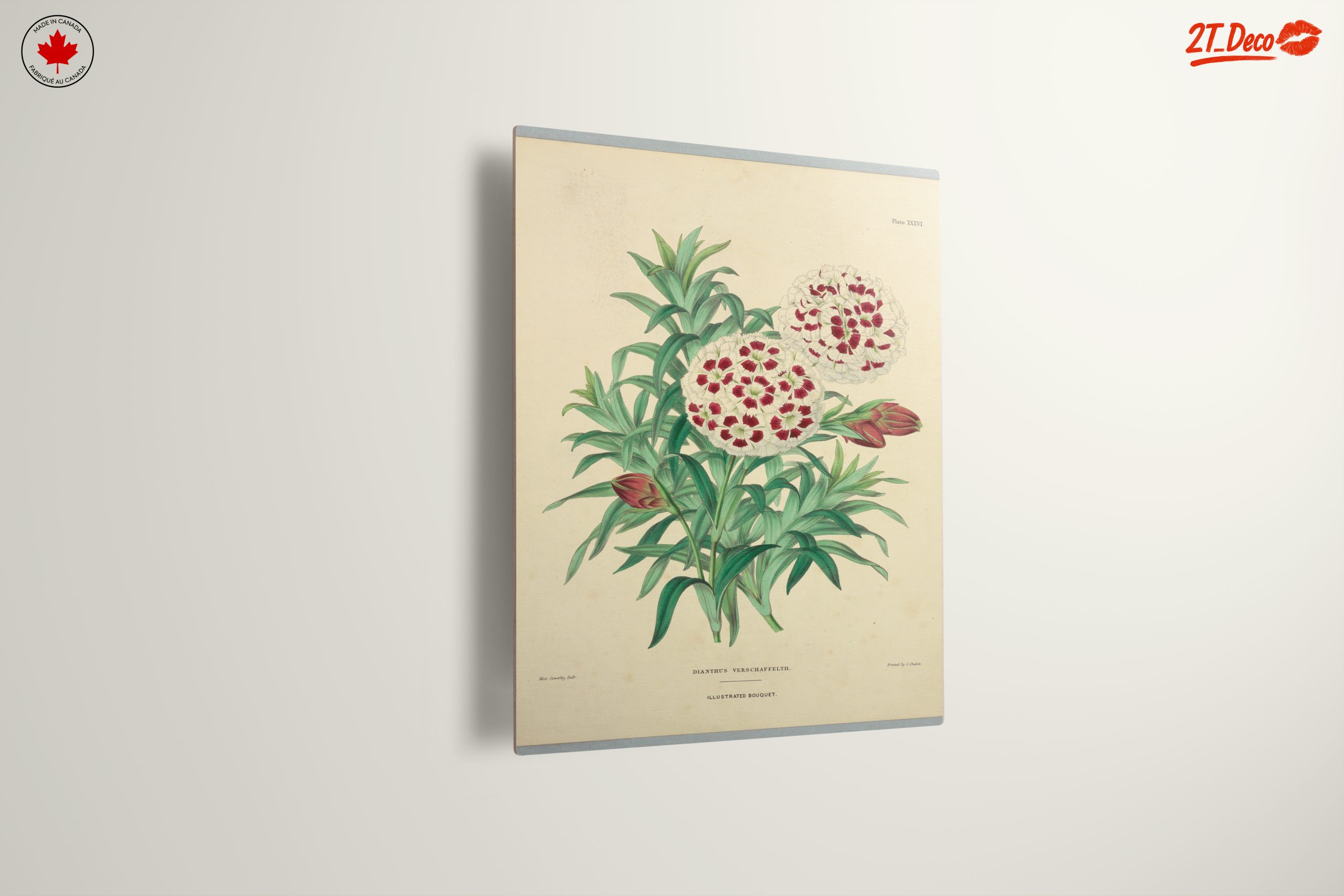 Illustrated Bouquet of Dianthus Flowers - Image 13