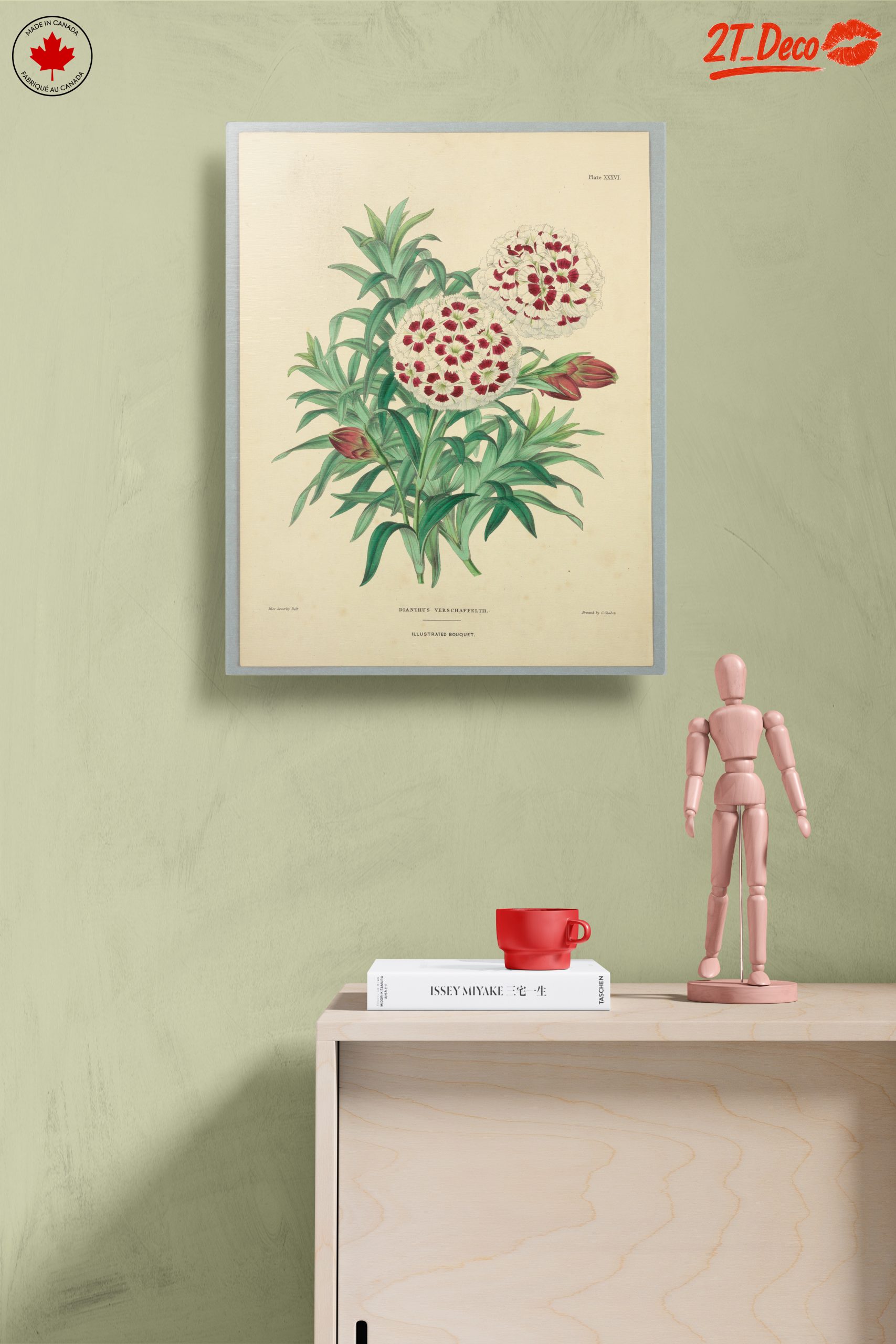 Illustrated Bouquet of Dianthus Flowers - Image 14