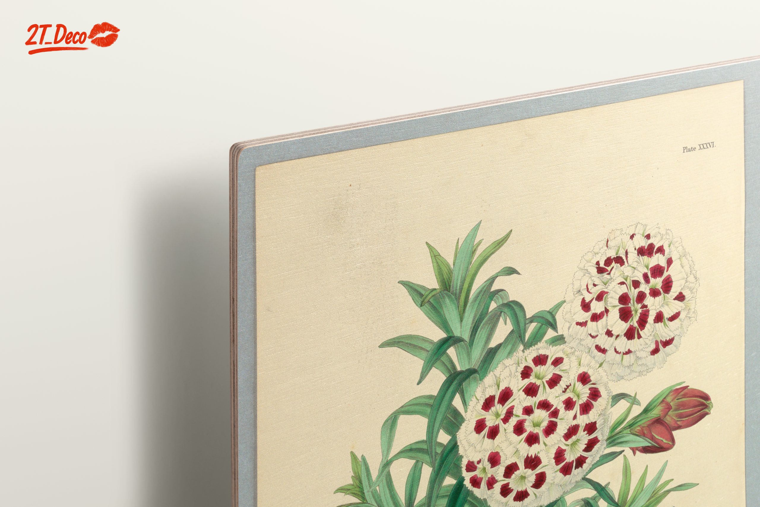 Illustrated Bouquet of Dianthus Flowers - Image 15