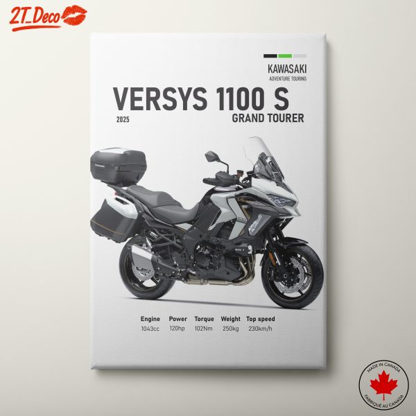 Kawasaki Versys 1100 S Adventure Motorcycle