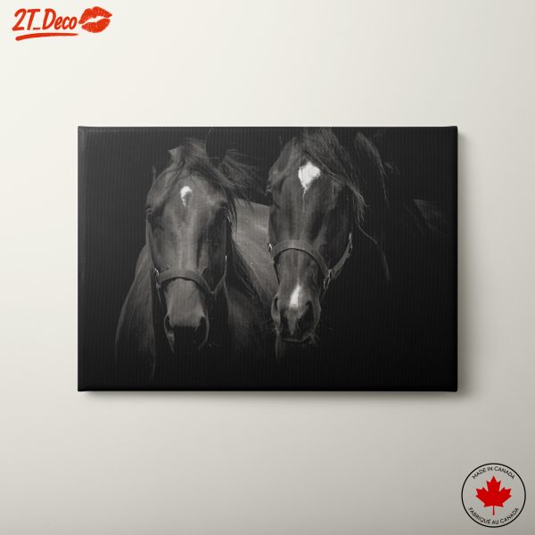 Stunning Black Horses Portrait