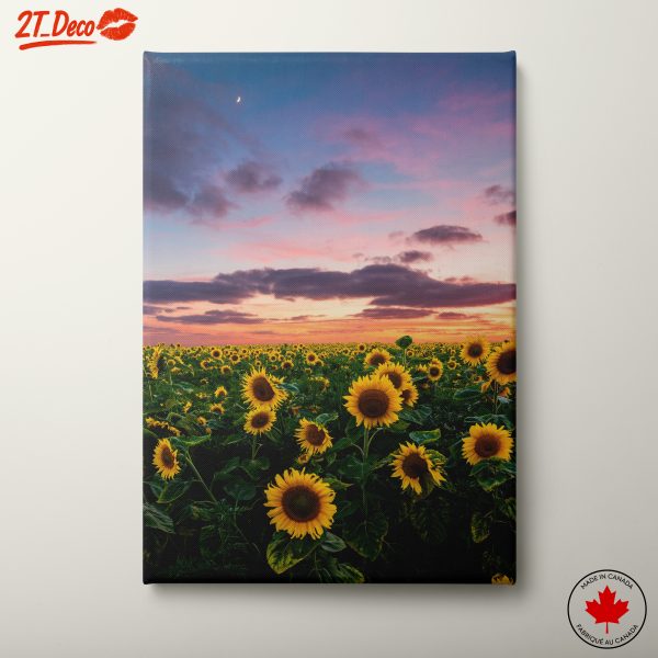 Vibrant Sunflower Field at Sunset