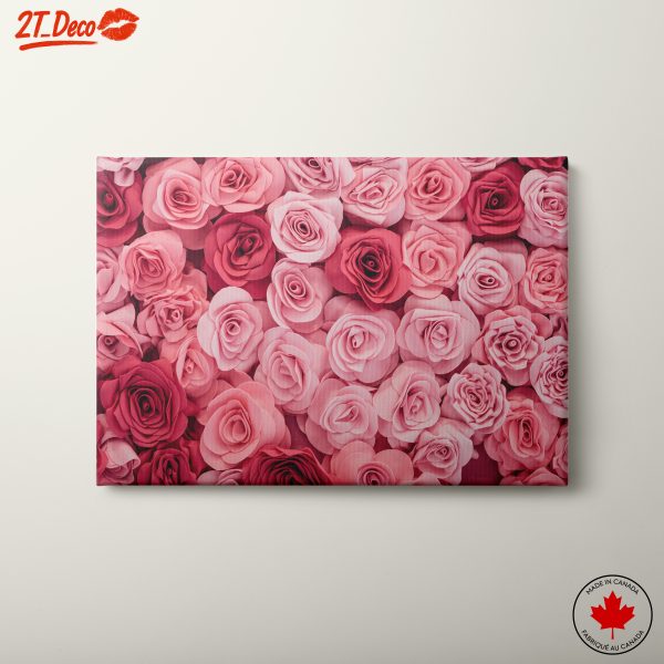 Beautiful Roses in Soft Pink Hues