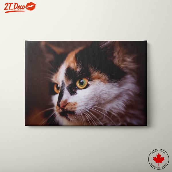 Close-Up Cat Portrait with Striking Eyes