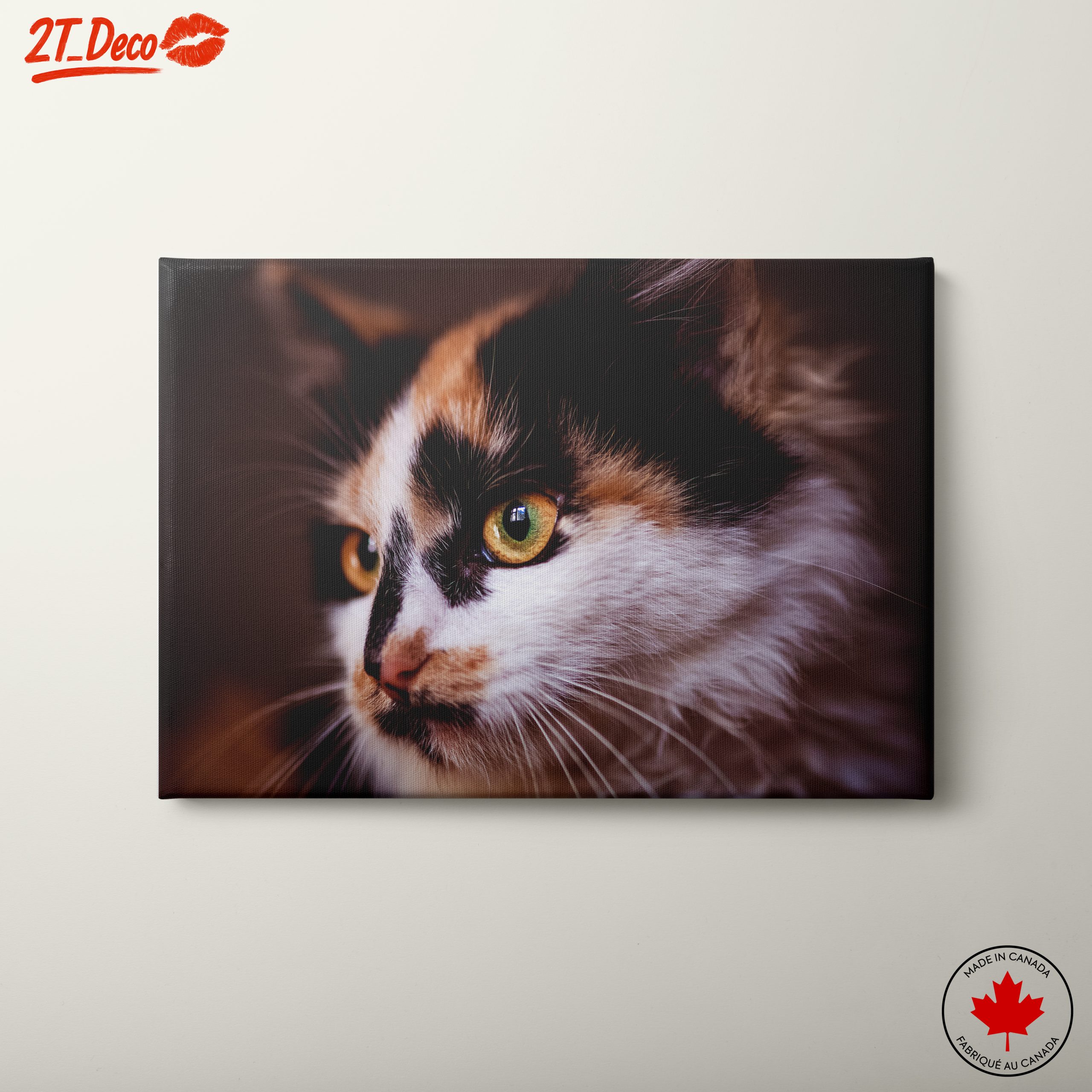 Close-Up Cat Portrait with Striking Eyes
