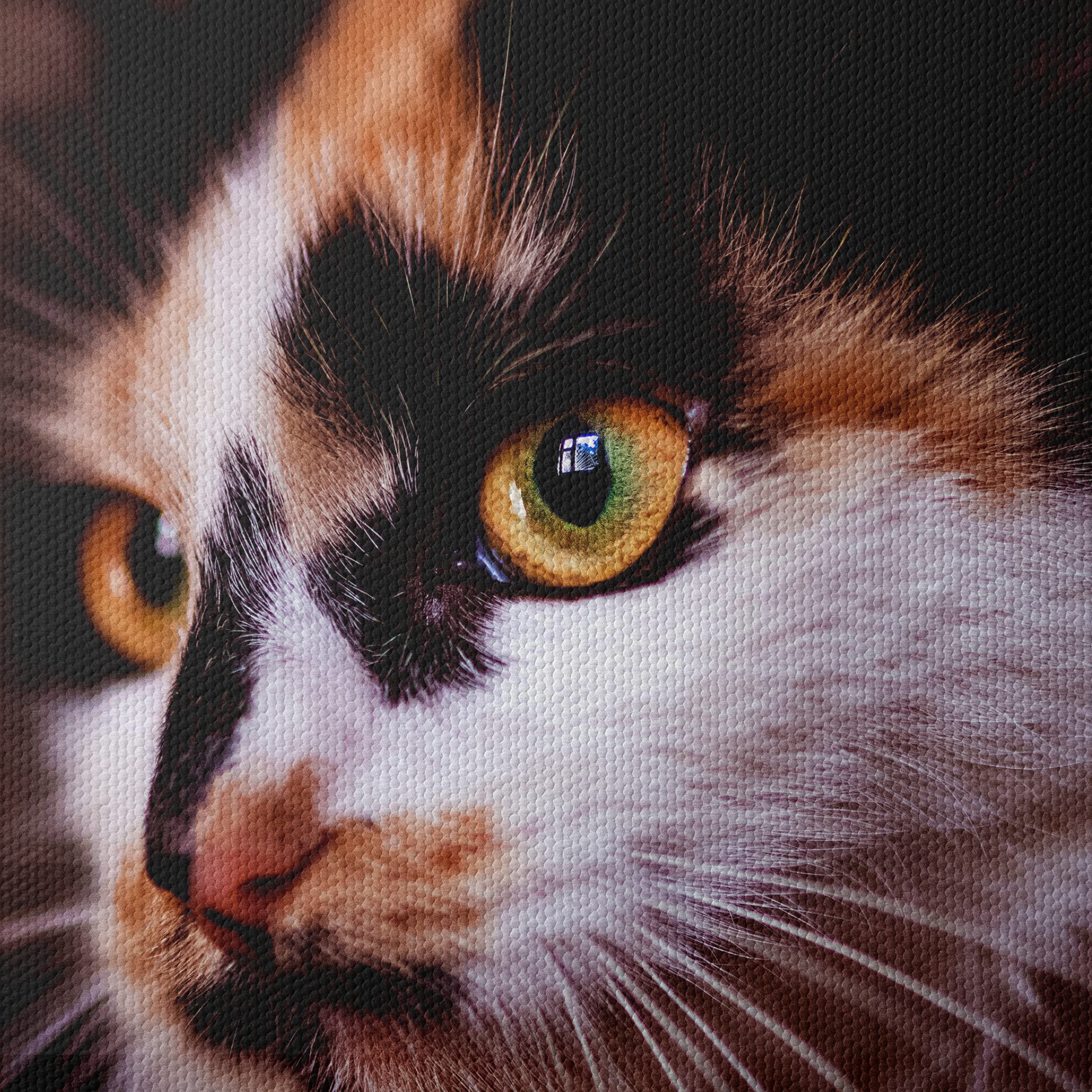 Close-Up Cat Portrait with Striking Eyes - Image 4